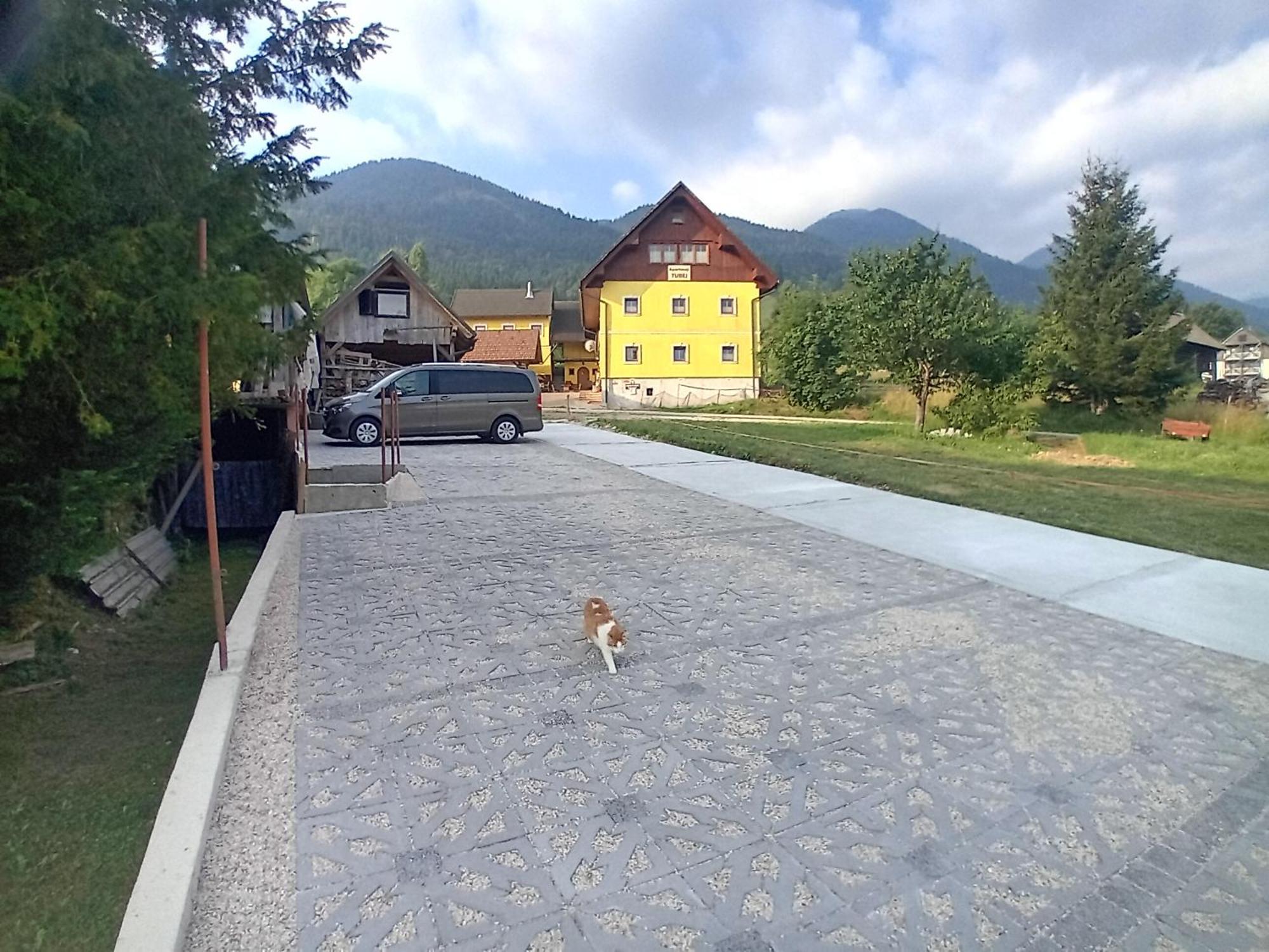 B&B Family Room Tubej Bohinj Exterior foto